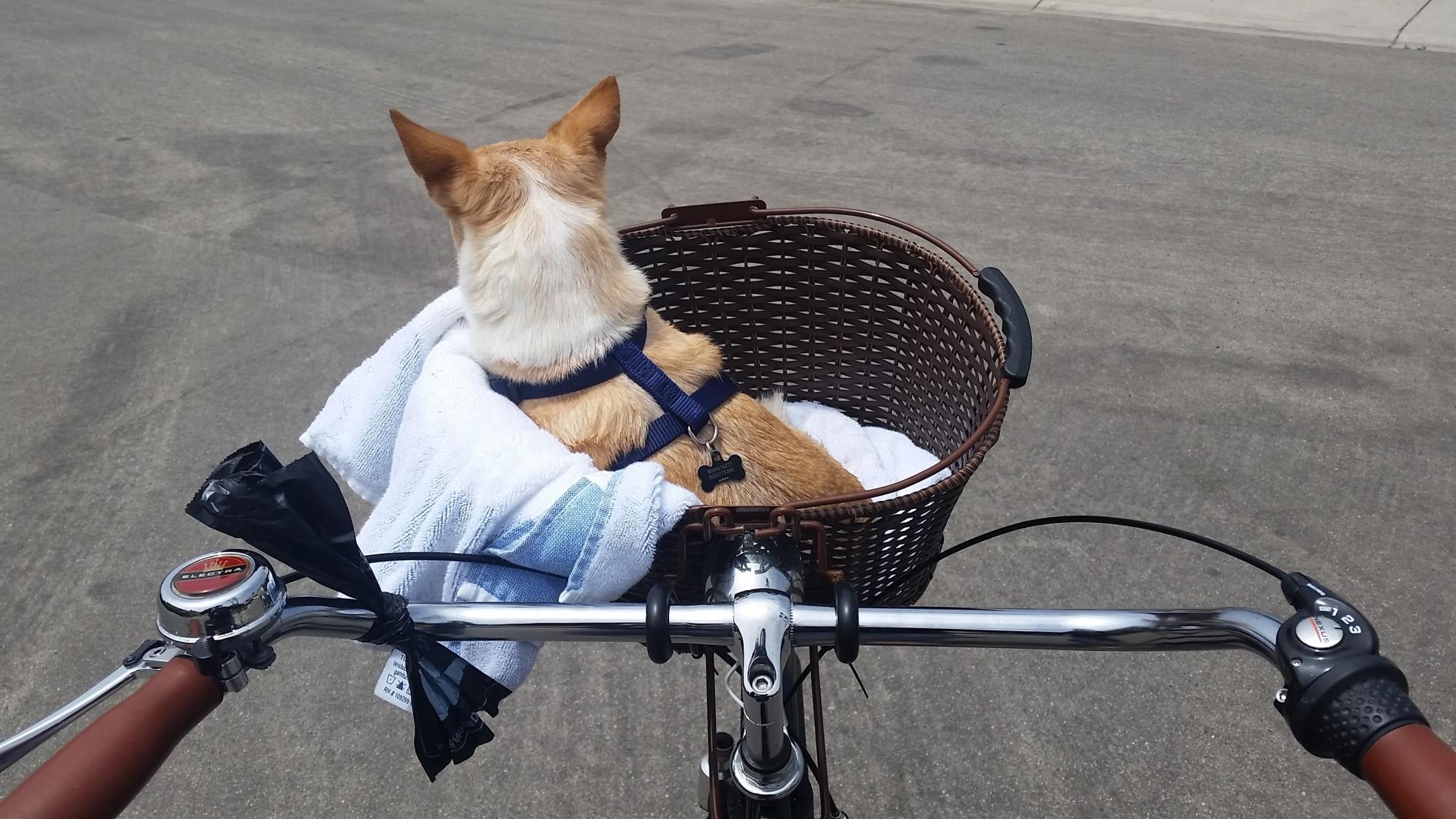 2013 Electra Amsterdam Black