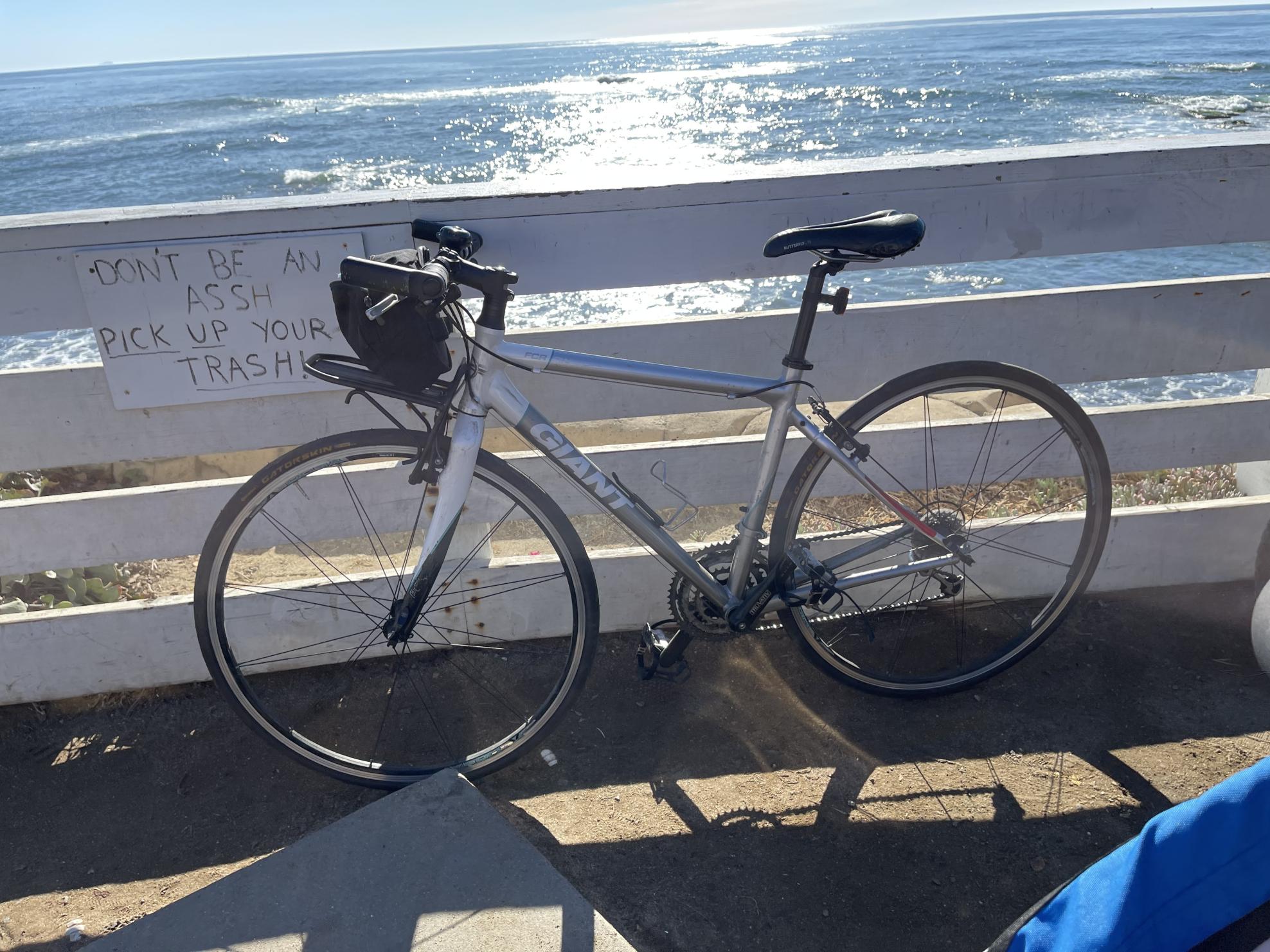 2009 Giant FCR 2 w White and Silver, gray or bare metal