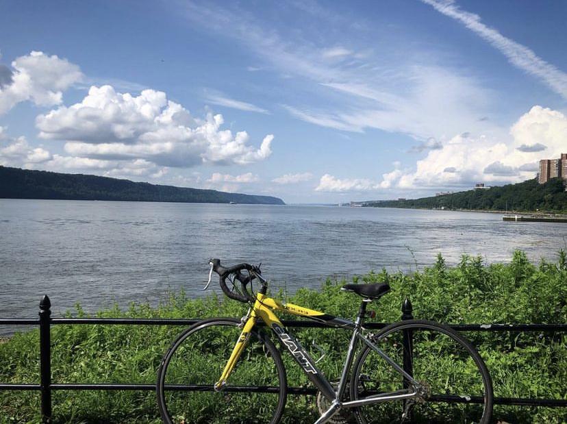 2003 Giant OCR 3 Yellow or Gold