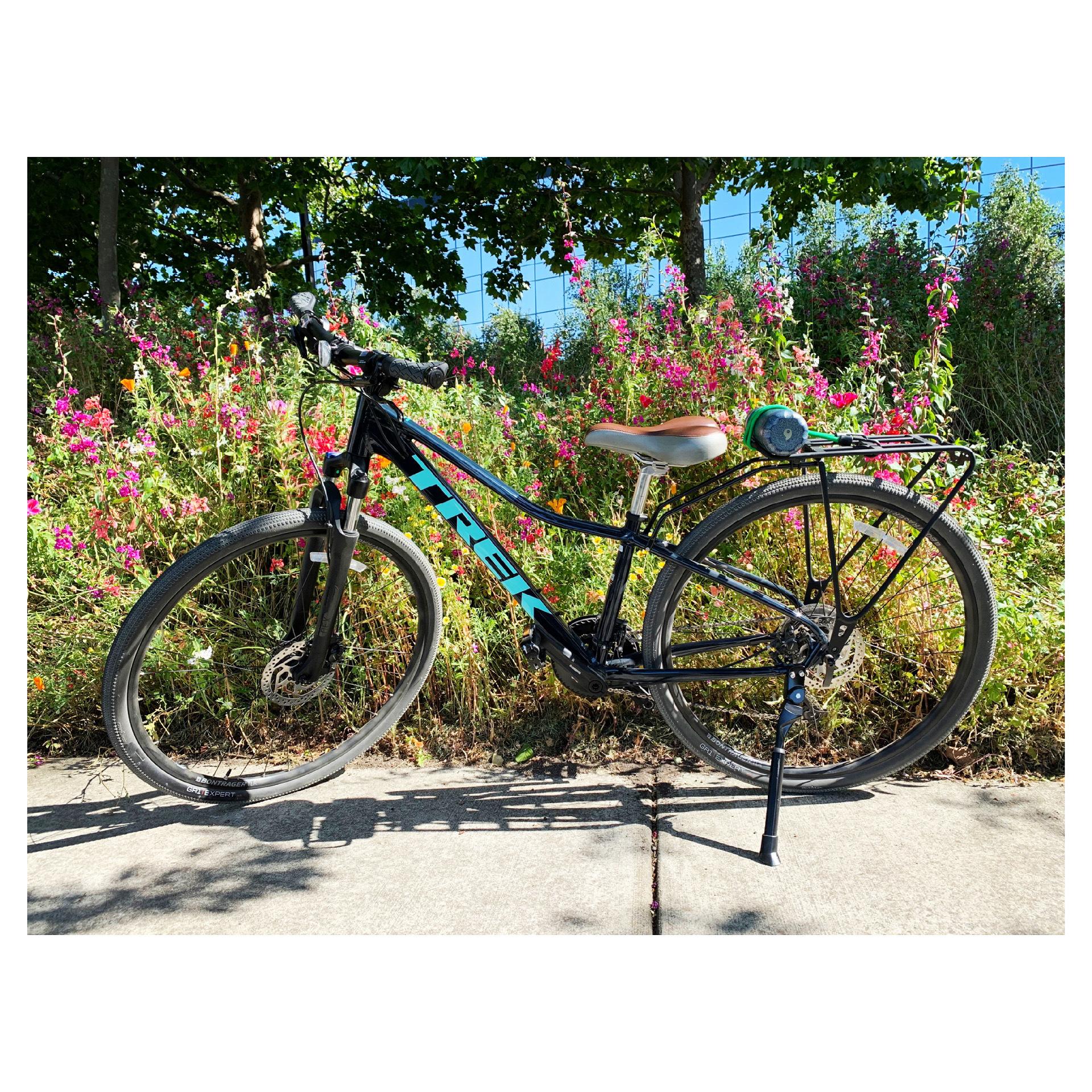 2020 Trek Dual Sport 3 Women’s Blue