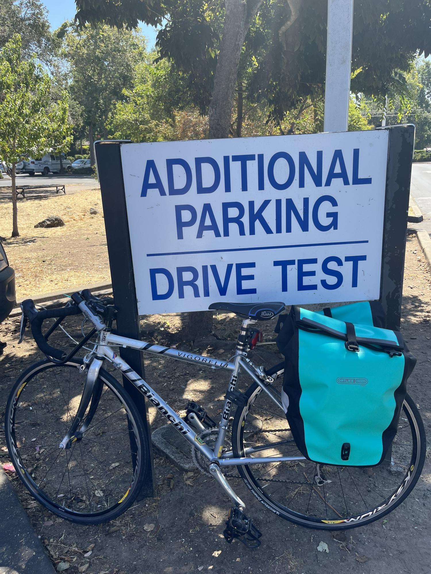 Bianchi Vigorelli Silver, gray or bare metal