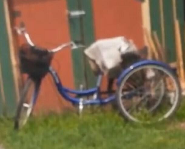 Schwinn 3 wheel tricycle Blue