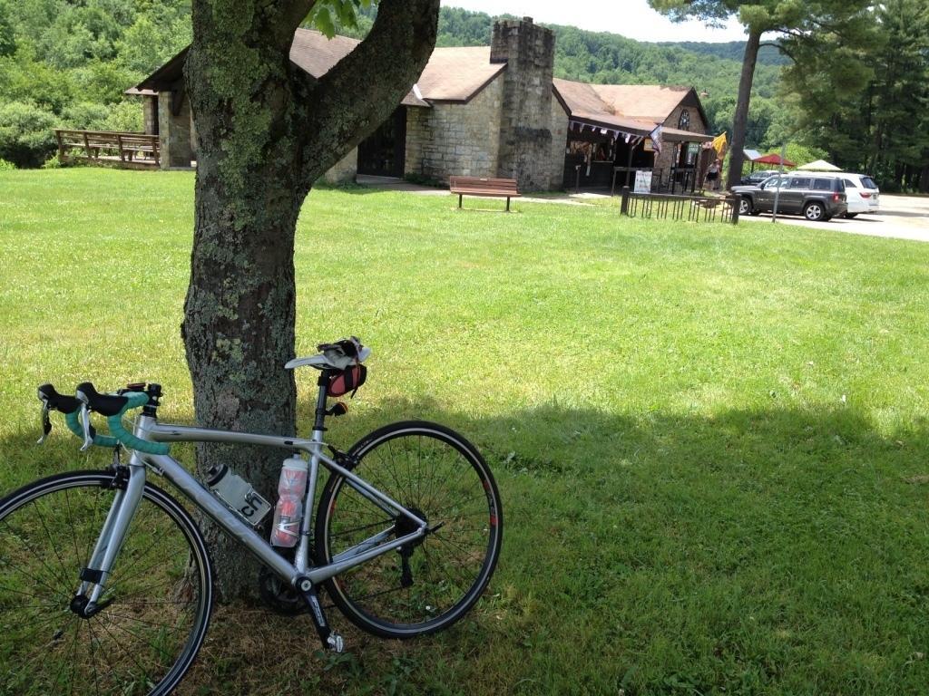 2014 Felt ZW85 Silver or Gray