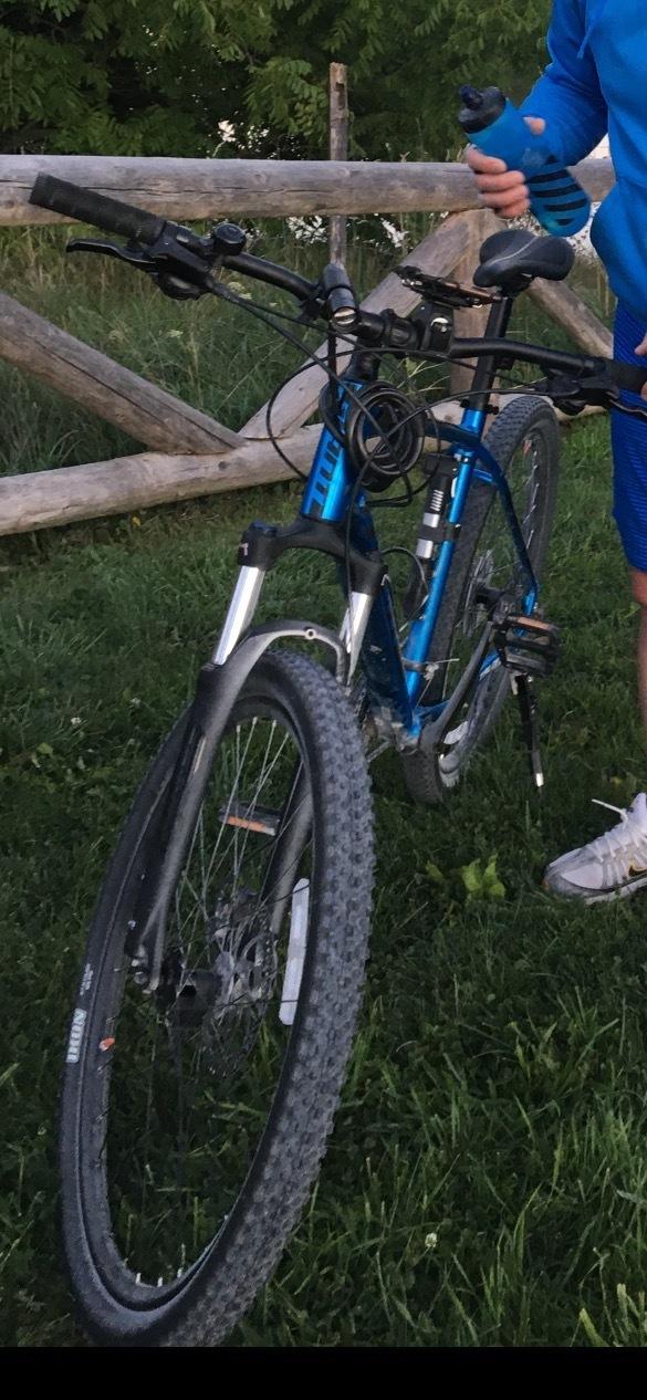 2020 Giant Talon 3 ( Large ) Blue