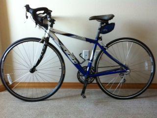Fuji Shamino  Black