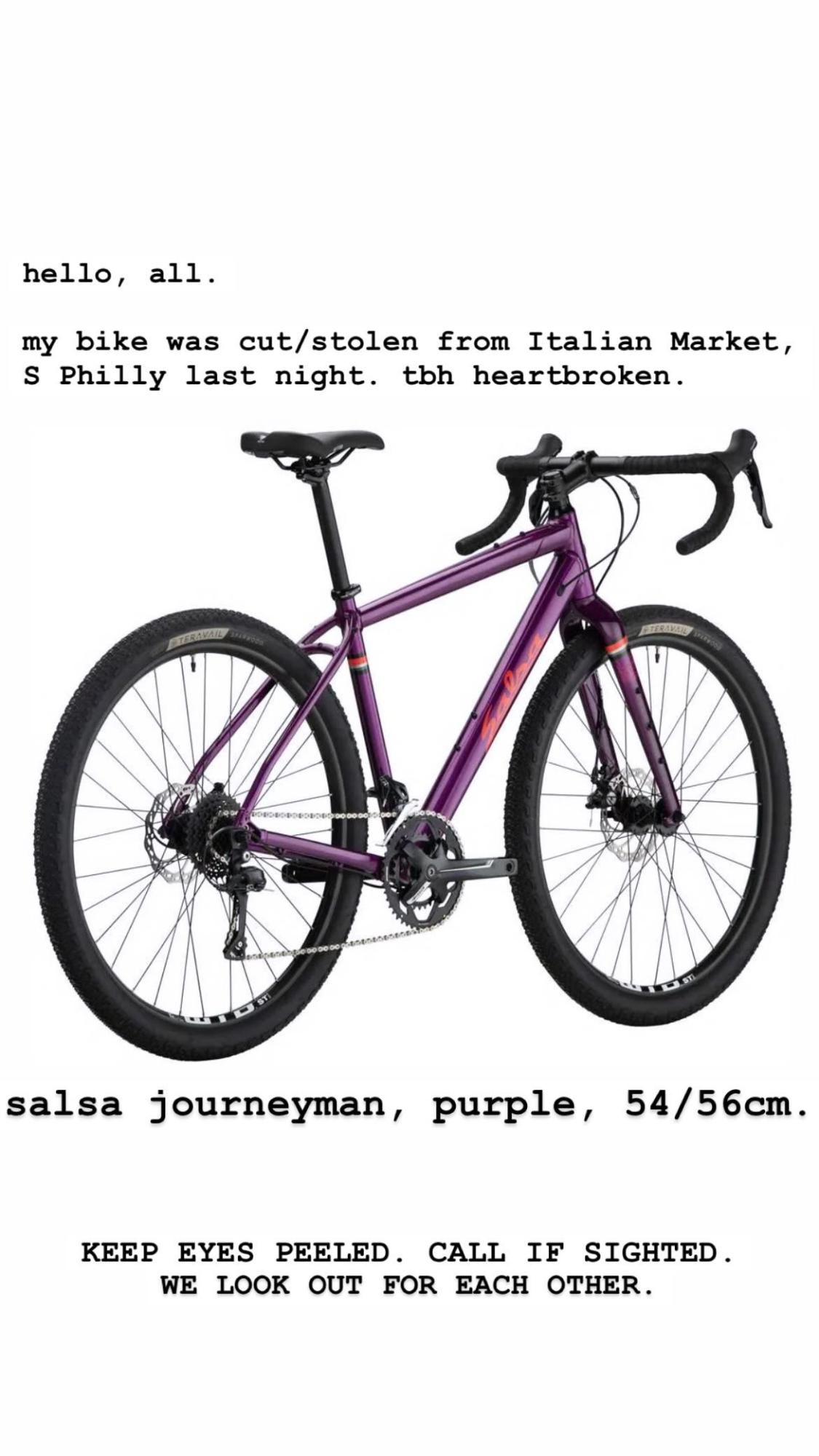 2020 Salsa Journeyman Purple