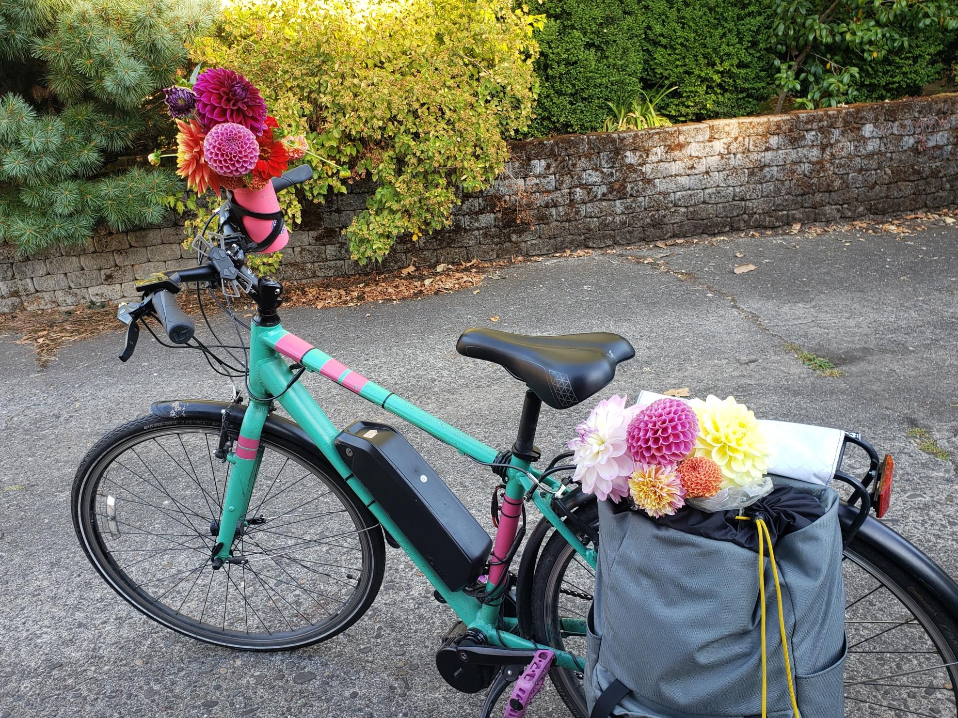 2015 Giant Hybrid; commuter Teal