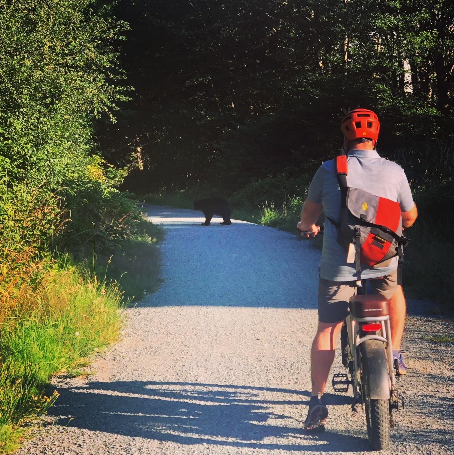 2021 Rad Power Bikes Rad runner plus Silver, gray or bare metal