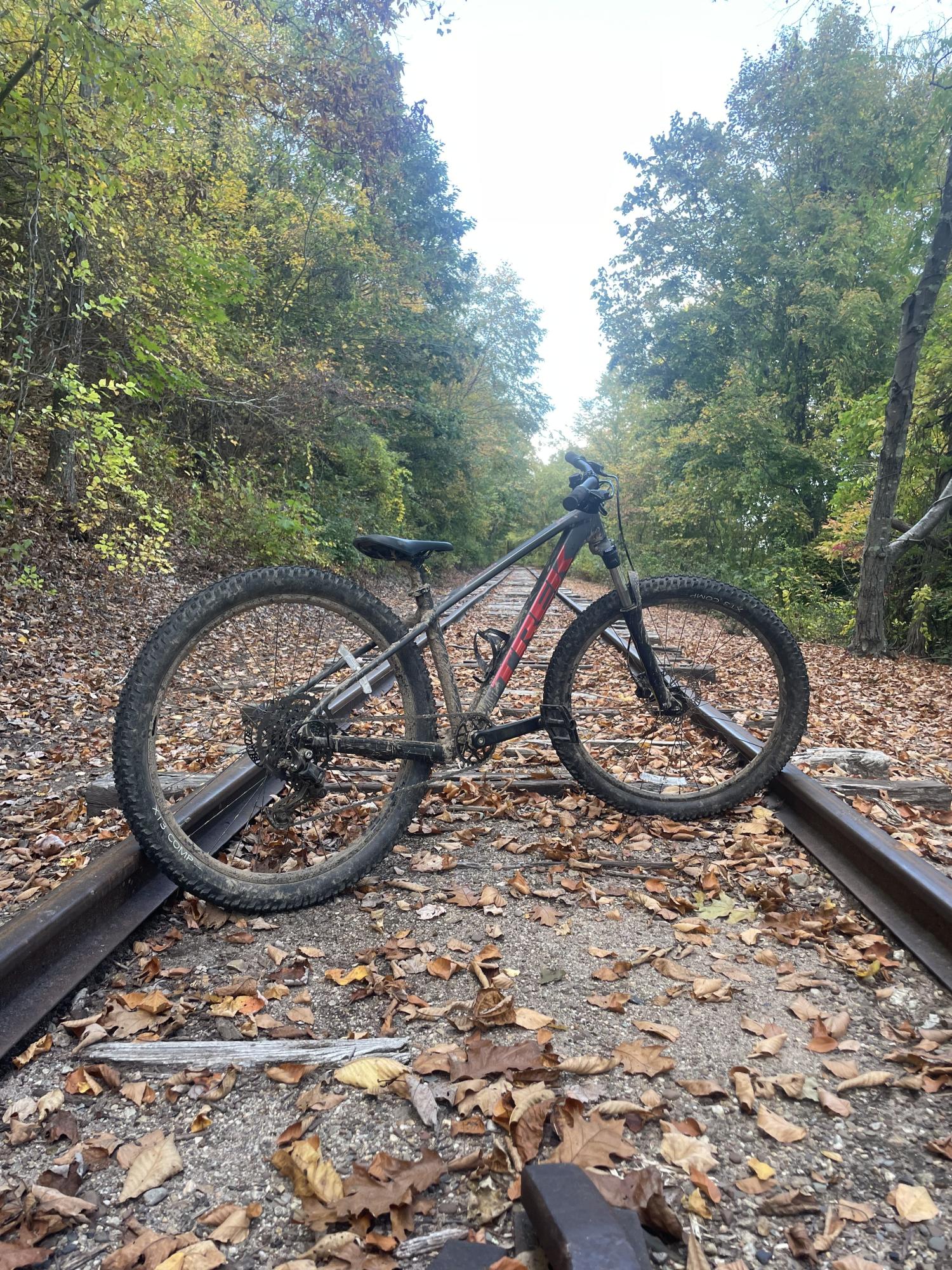 2024 Trek Marlin Black