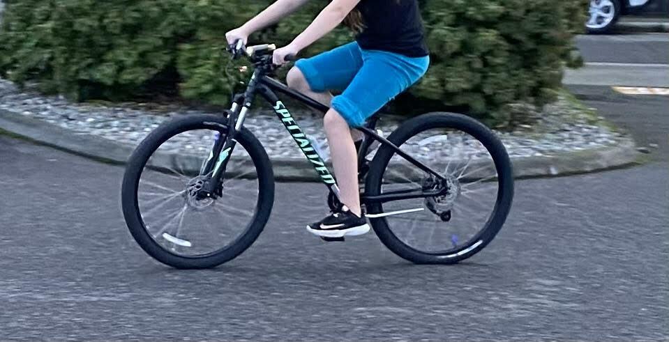 2024 Specialized Rockhopper Black