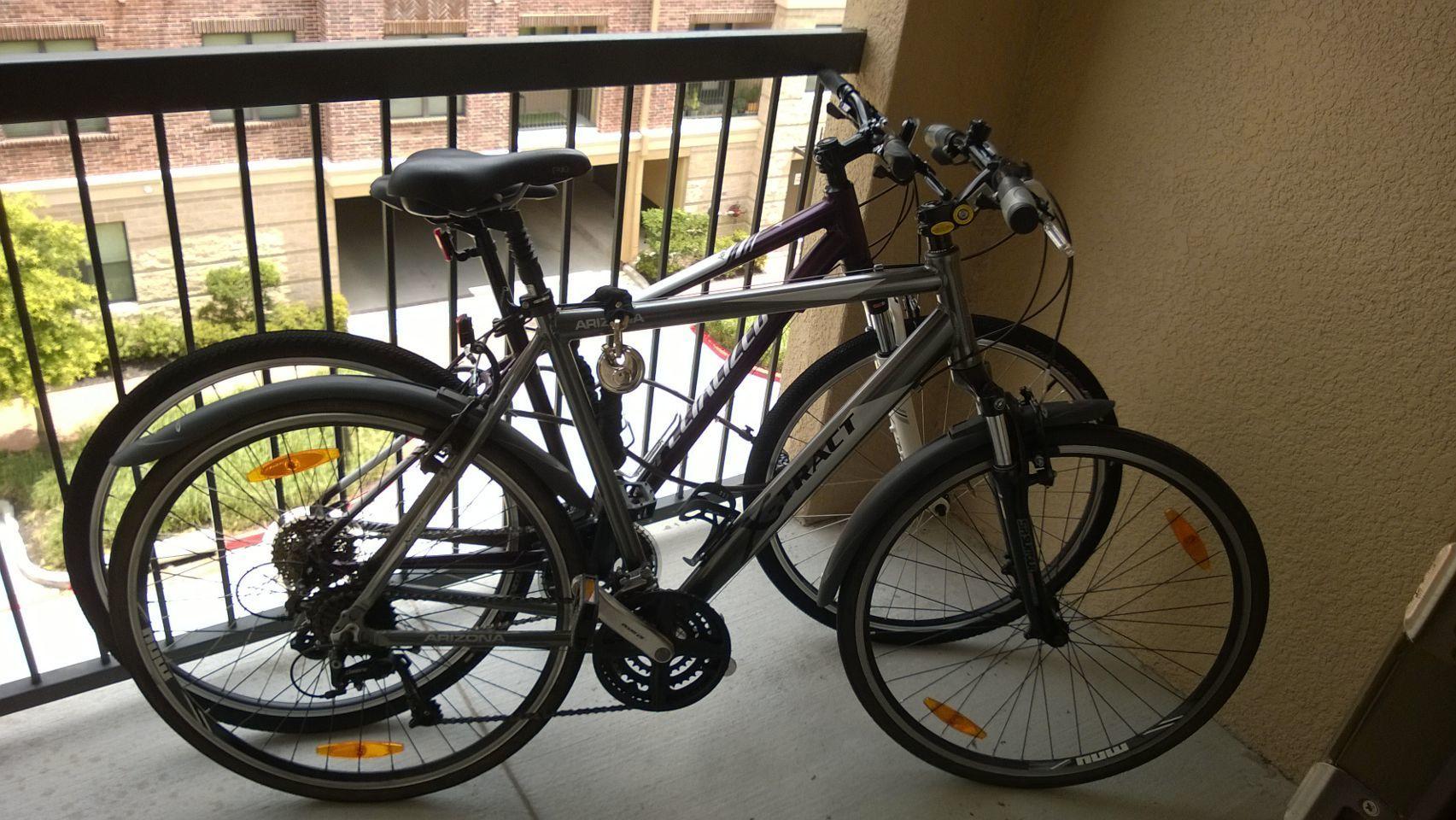 Arizona Silver or Gray