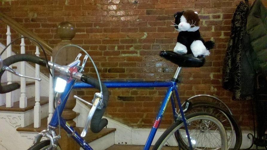 1984 Schwinn world sport  Blue