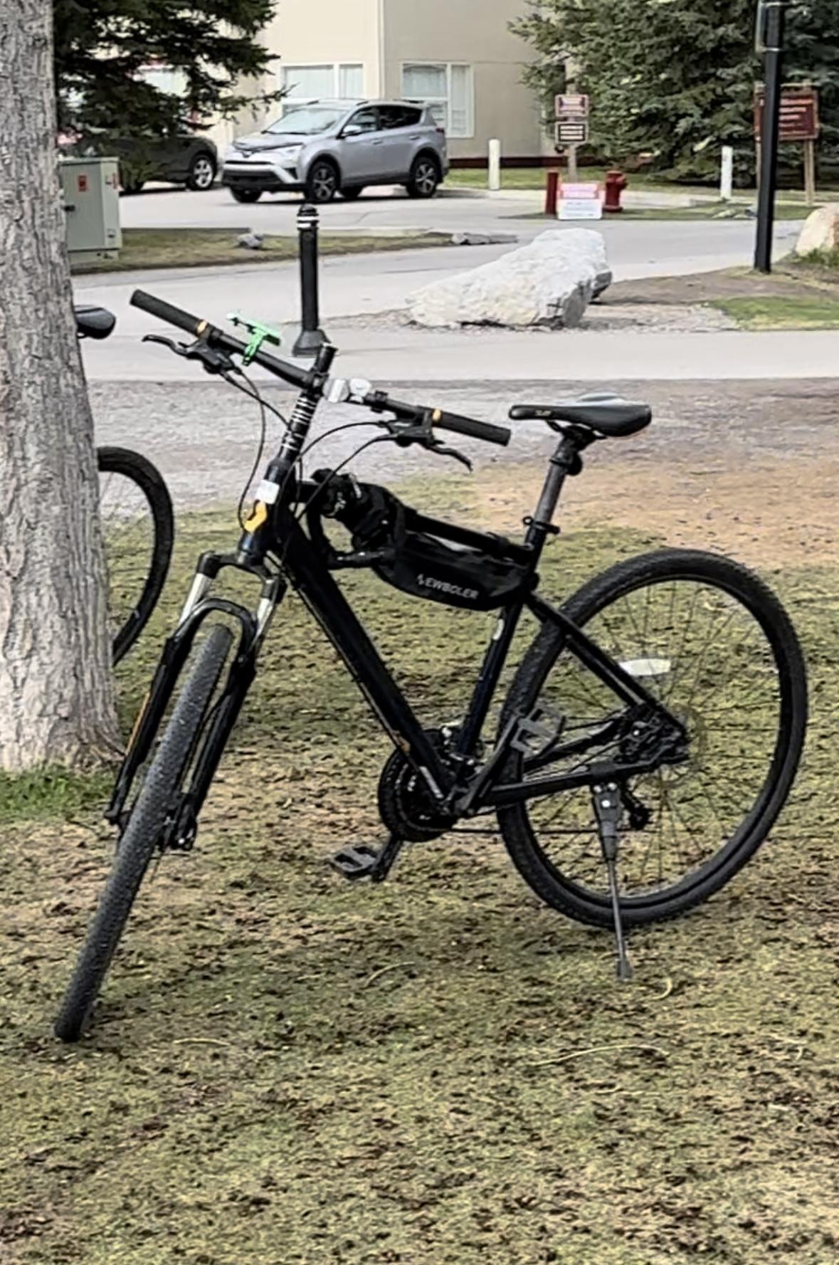 2021 SCOTT Scott Blue