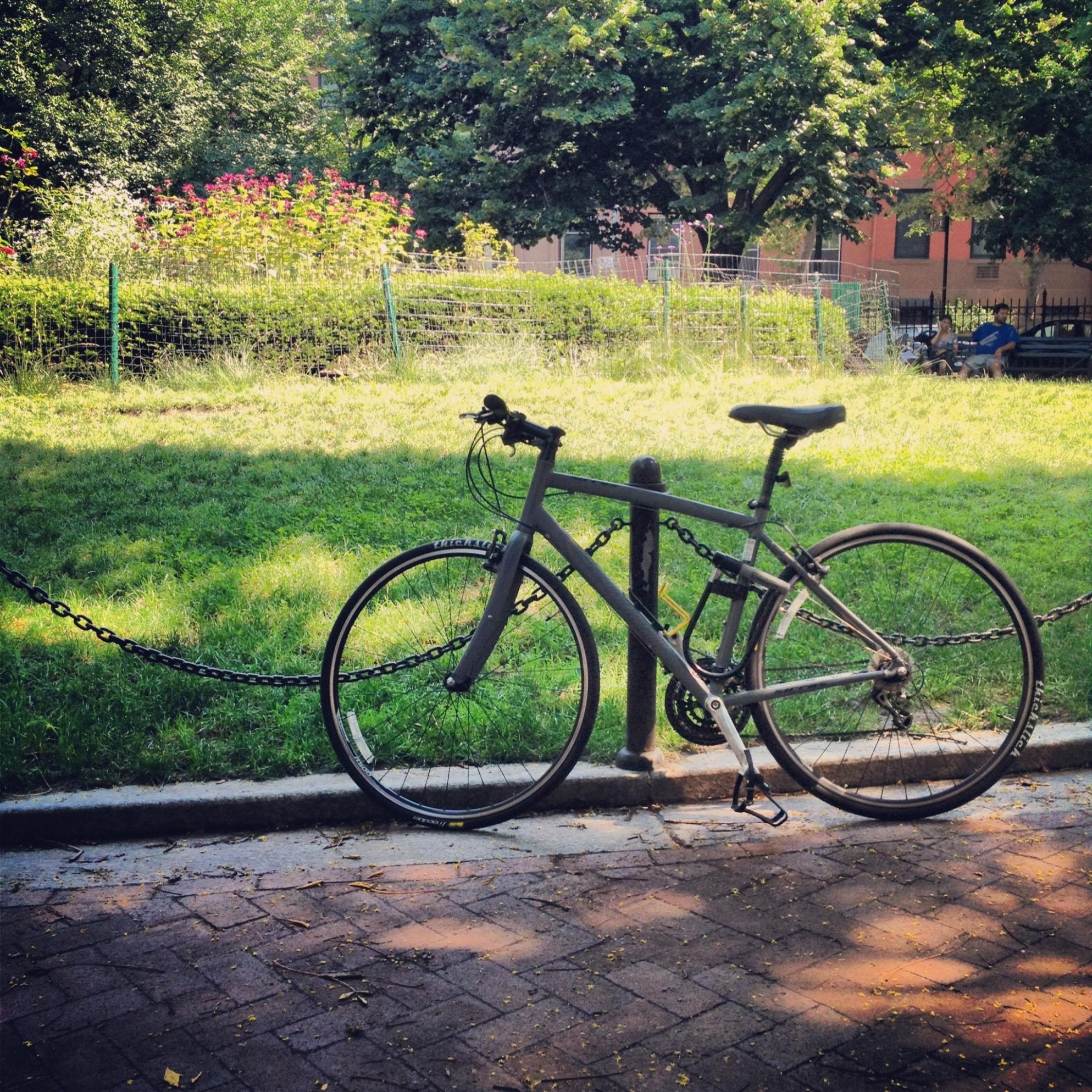 2007 Specialized Sirrus Silver or Gray