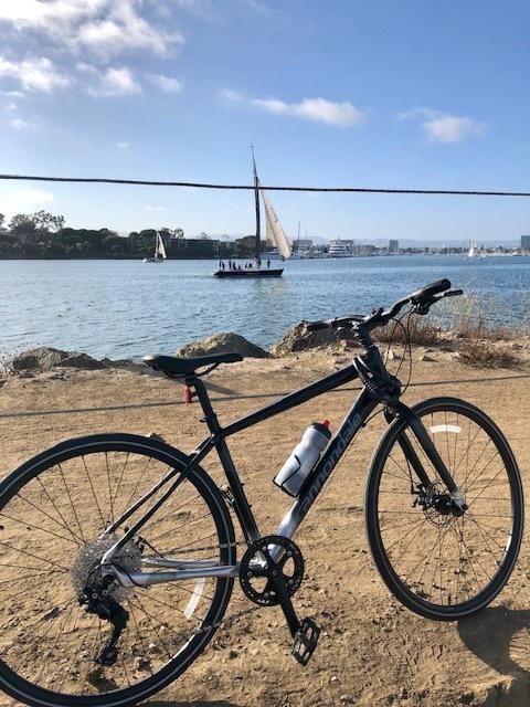 Cannondale Quick D LTD Black and Silver, gray or bare metal