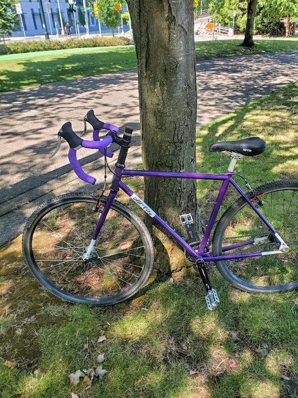 All City Nature Boy Purple