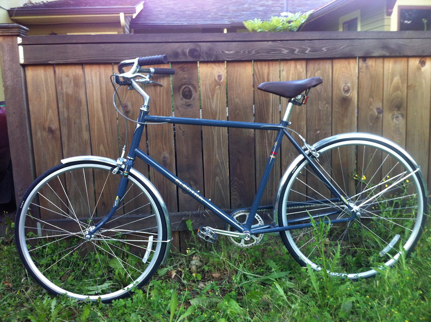 2010 Electra TICINO Silver or Gray