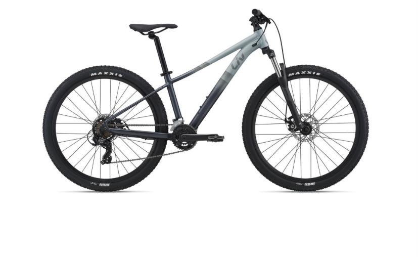 2022 Liv Tempt 4 Silver, gray or bare metal