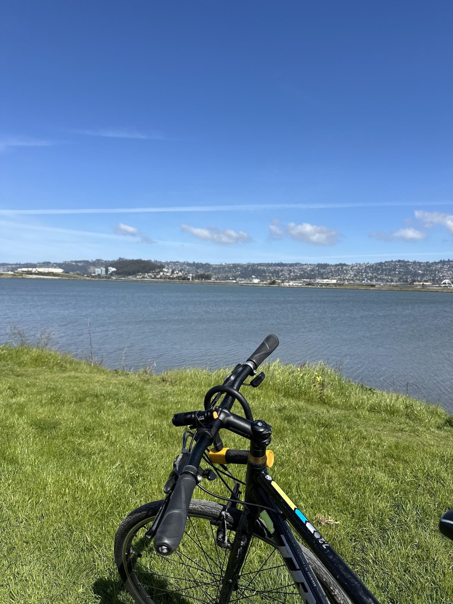 Trek 7.2 FX Black and Green