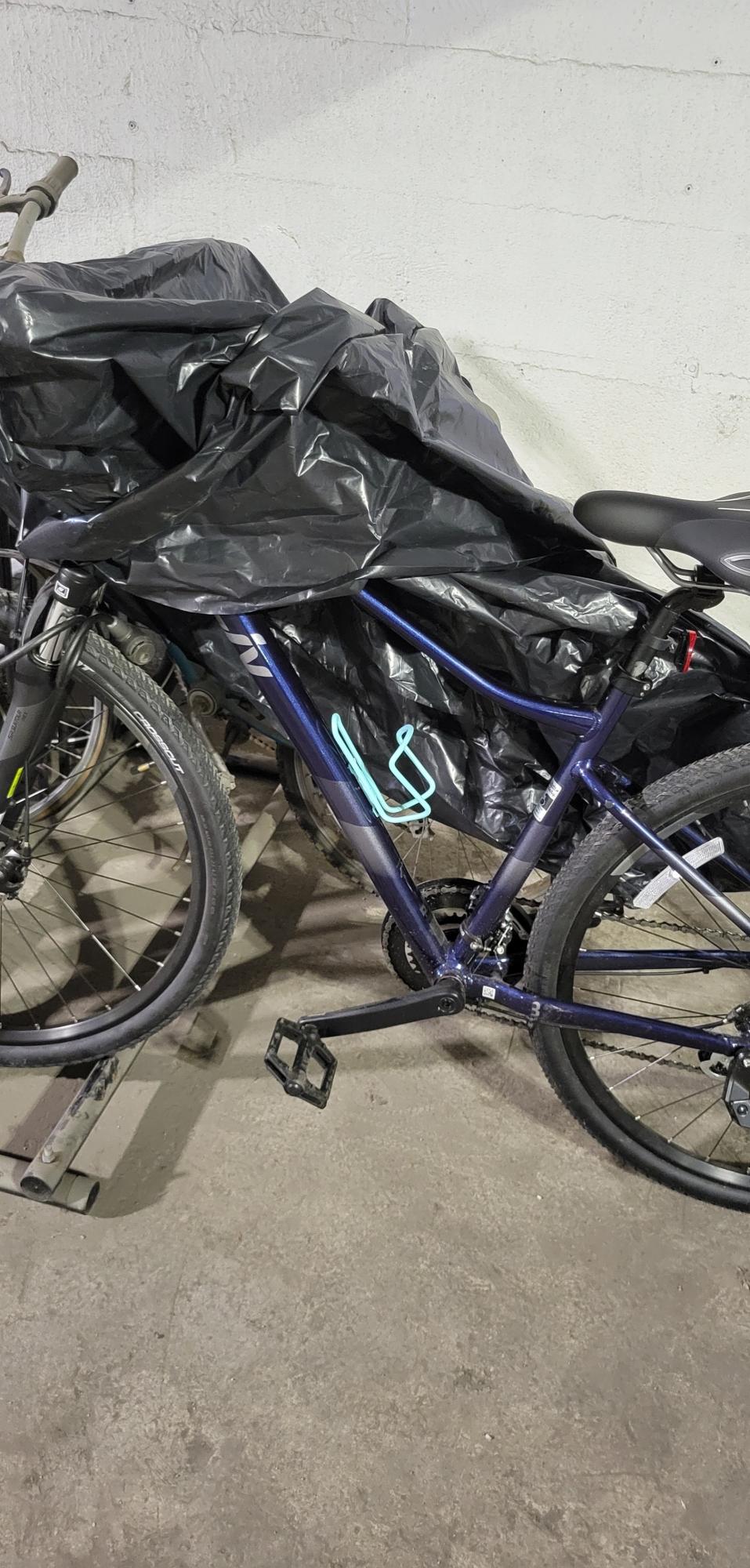 2021 Giant Liv Rove 4 Blue