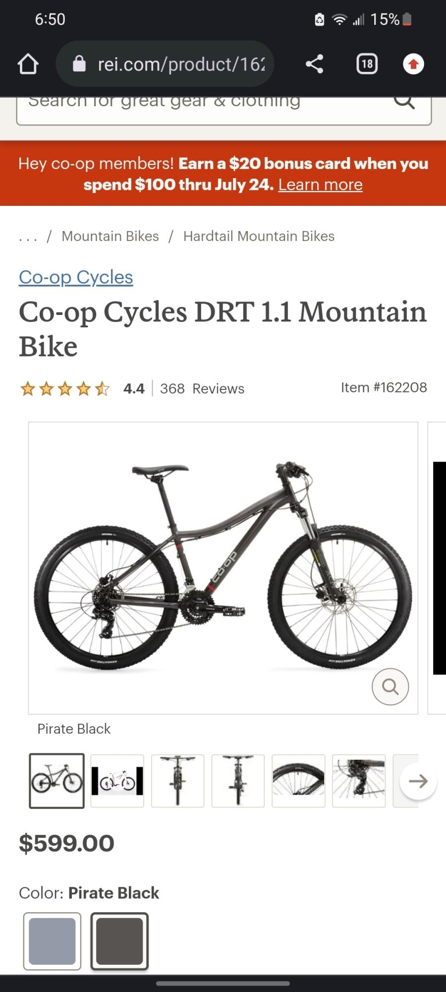 2021 REI Co-op DRT 1.1 Mo Silver, gray or bare metal