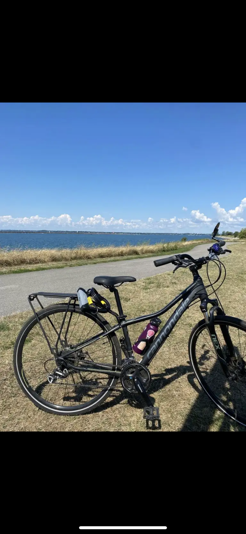 2015 Cannondale Althea 2 Black