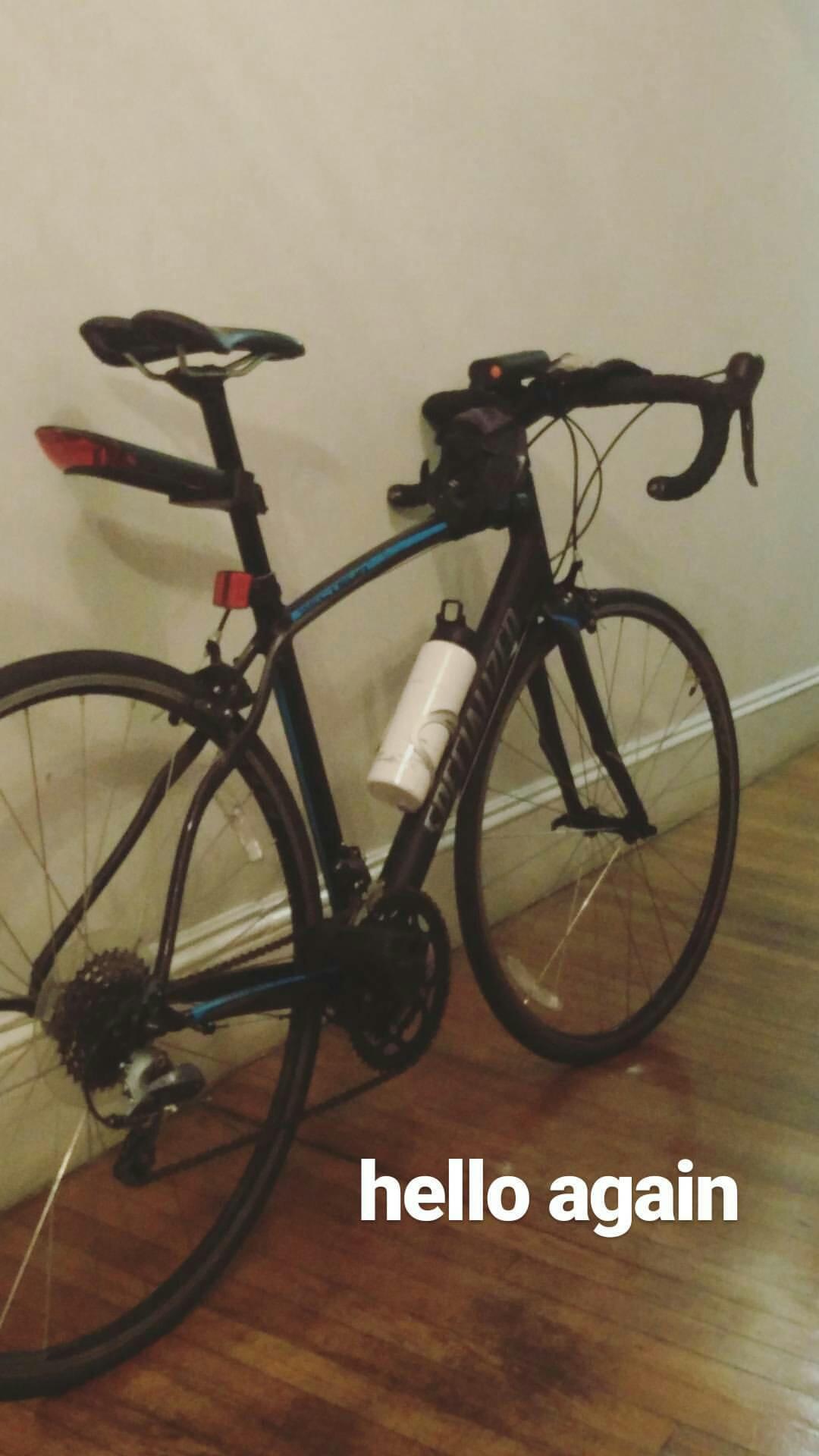 2014 Specialized Secteur Double Blue and Black