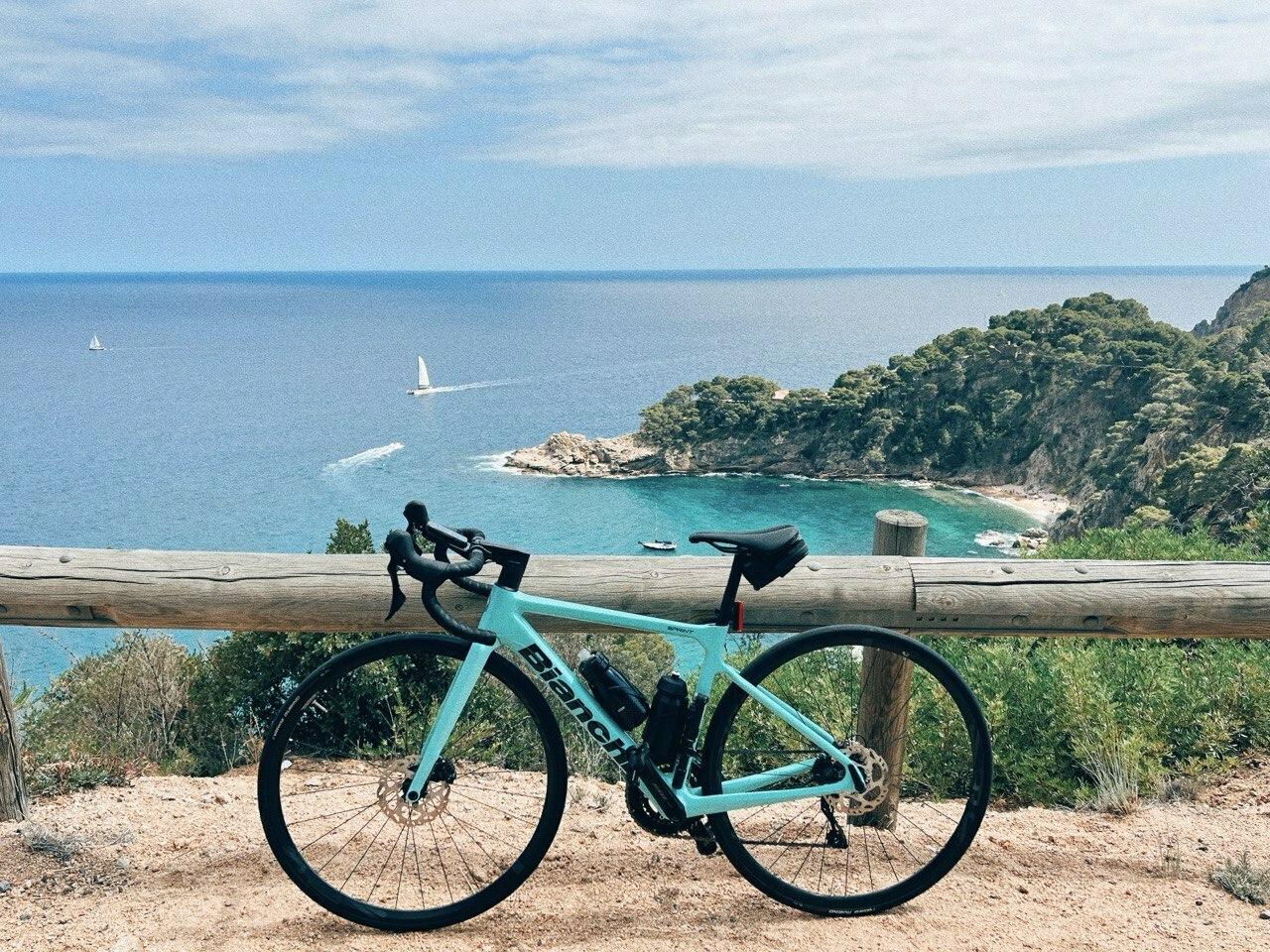 2024 Bianchi BIANCHI RACING 2024 CARB SPRINT Green