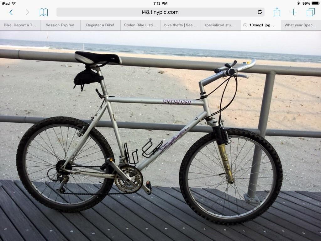 1992 Specialized Stumpjumper FS Silver or Gray