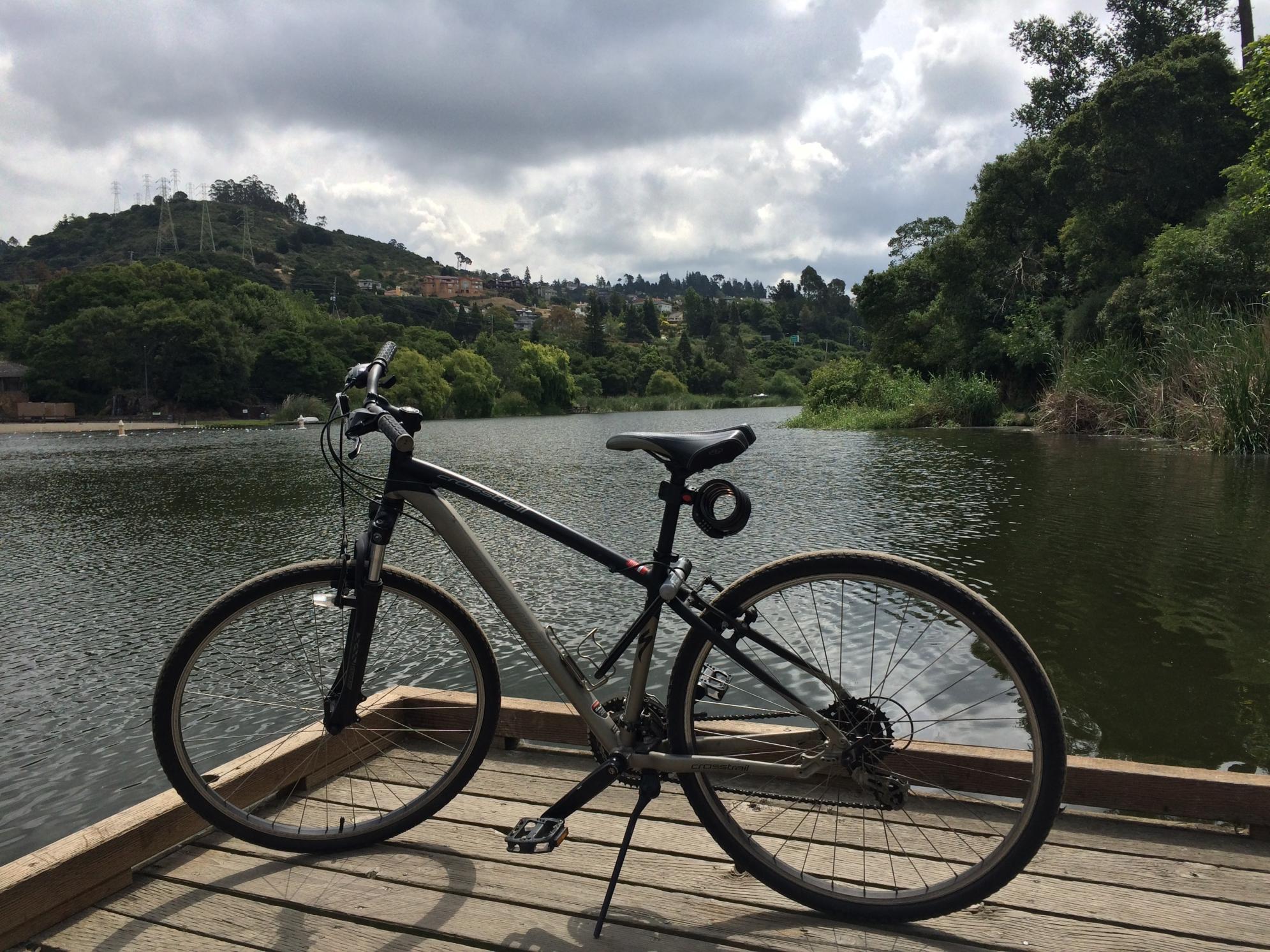 2010 Specialized CrossTrail Black and Green