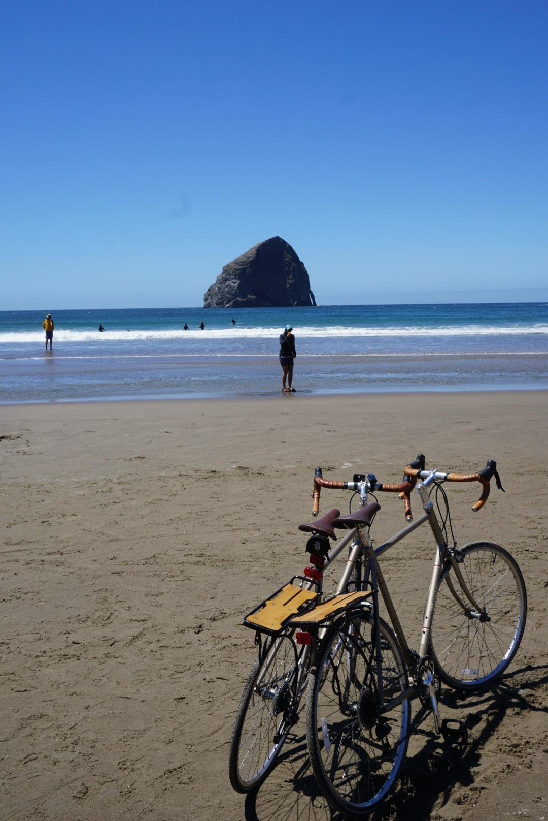 2012 Novara Verita Yellow or Gold