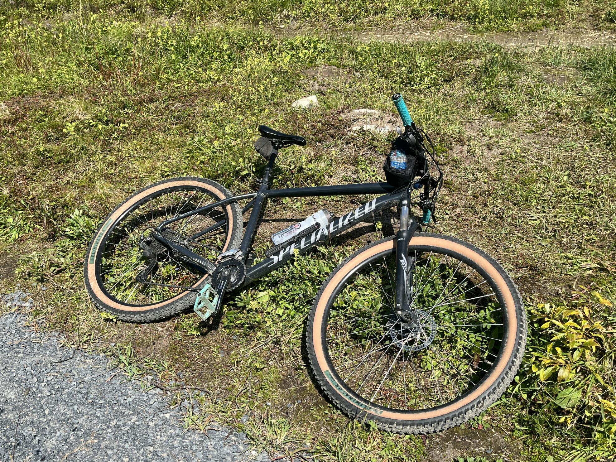 2021 Specialized Rock Hopper Silver, gray or bare metal