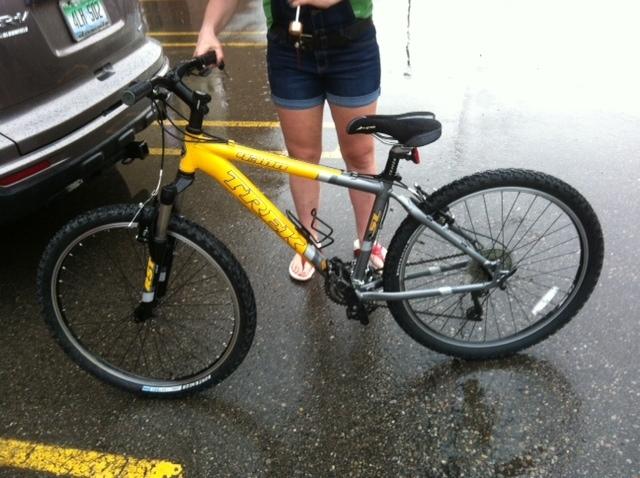 Trek 4300 Yellow or Gold and Silver or Gray