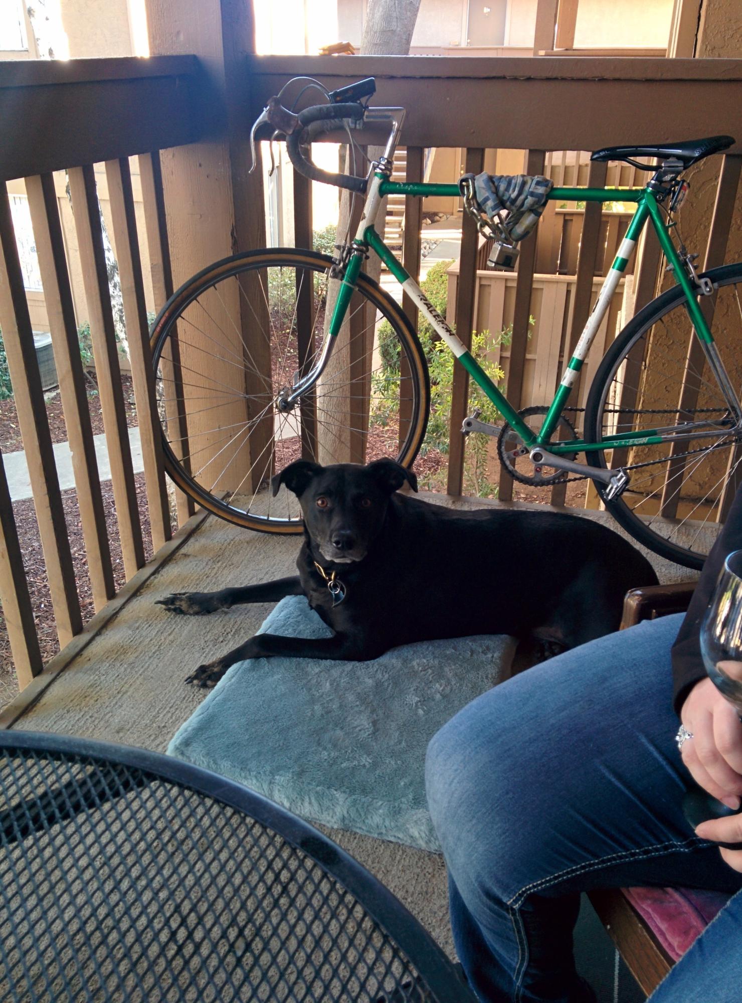 Raleigh supercourse mkII Green