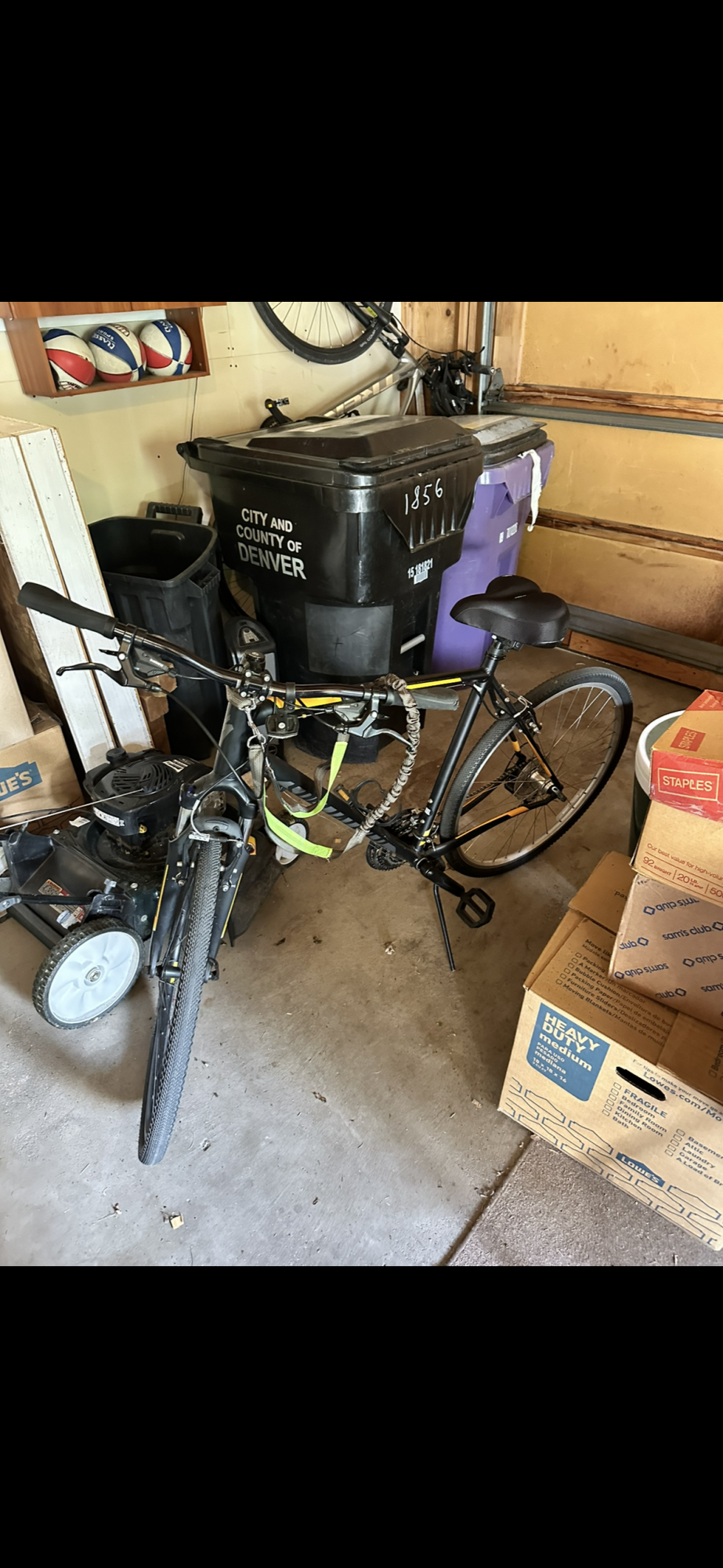 2022 Specialized Sirius Black and Yellow or Gold