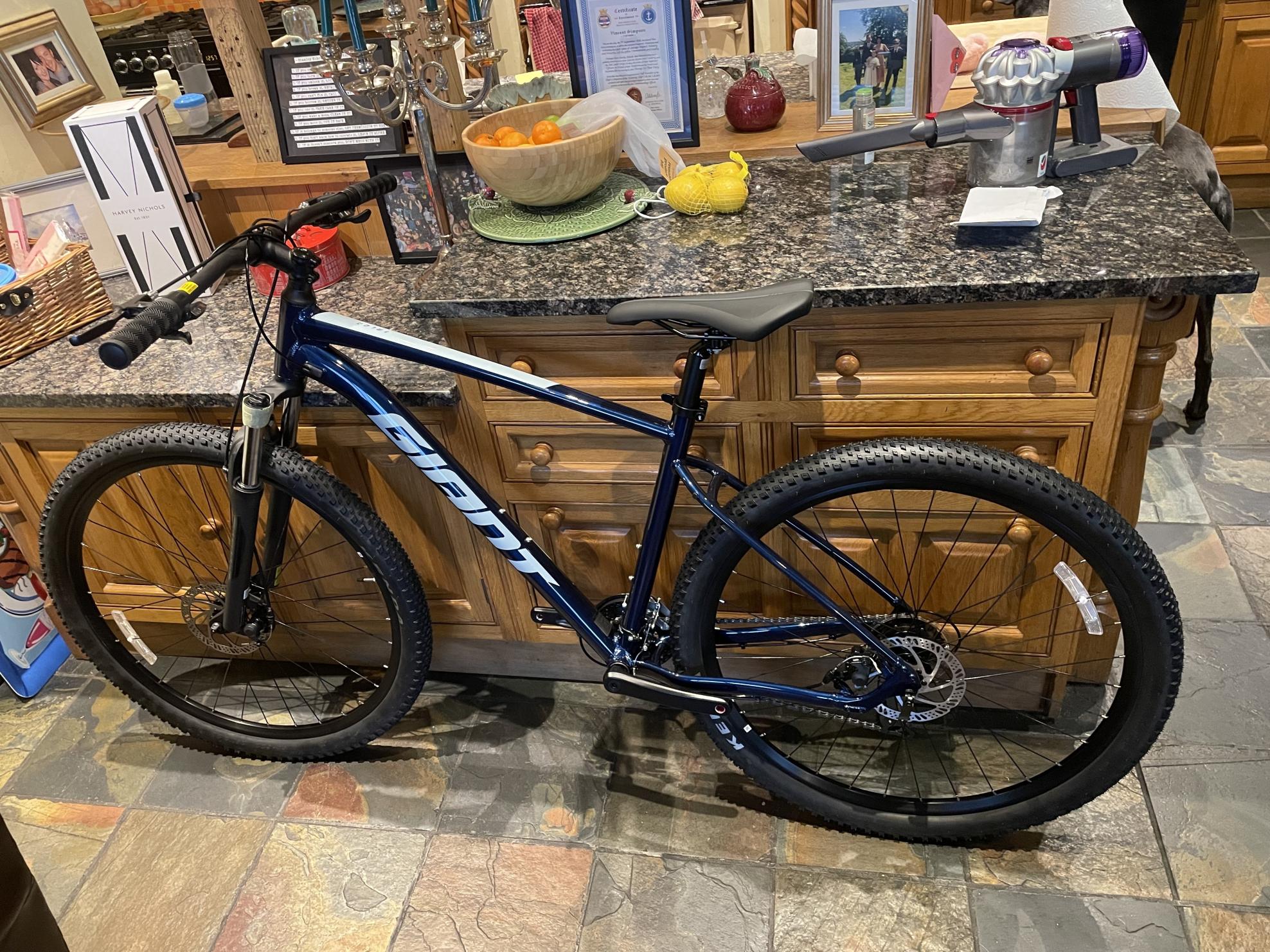 2022 Giant Blue