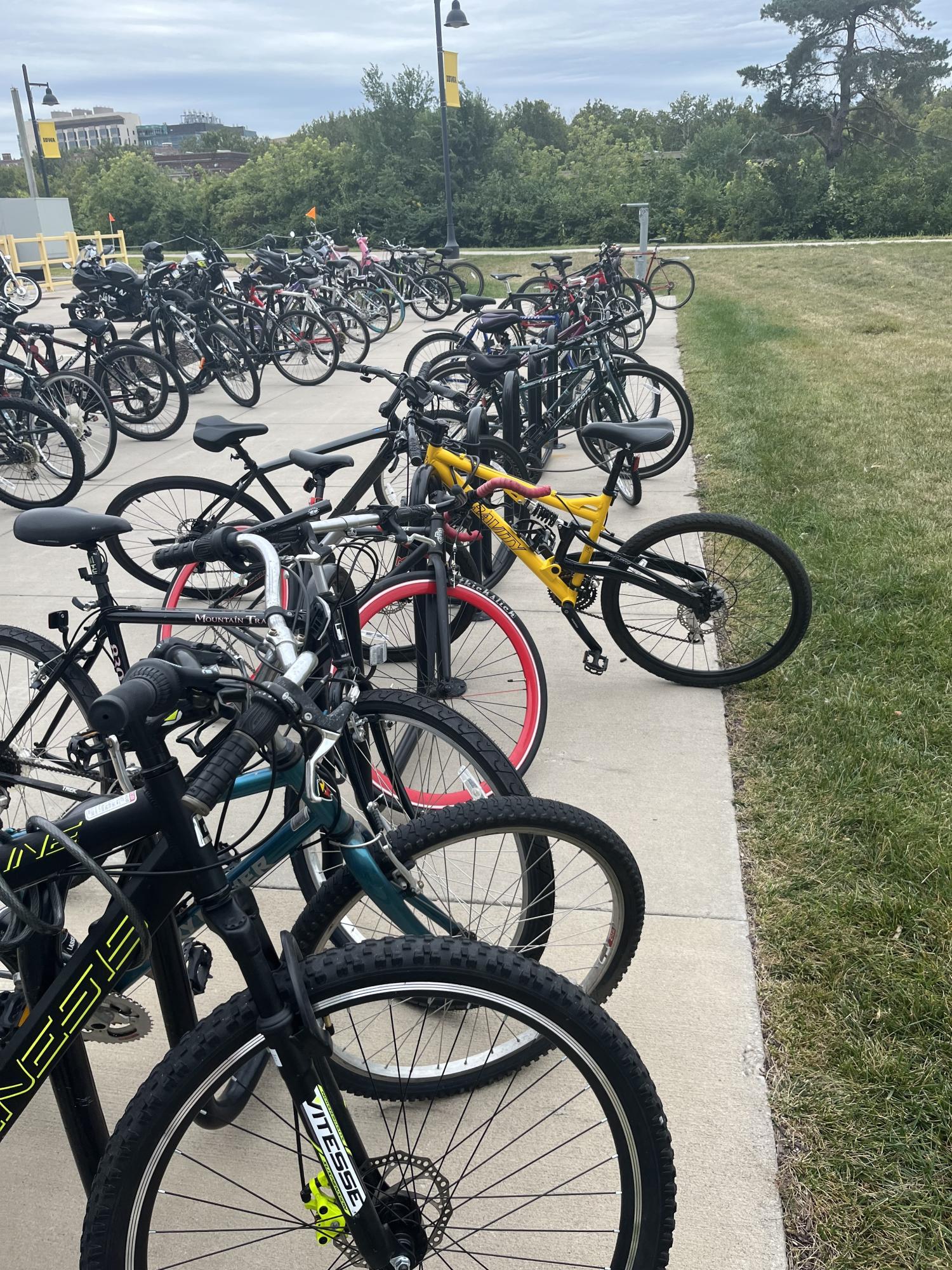 Gravity Yellow or Gold