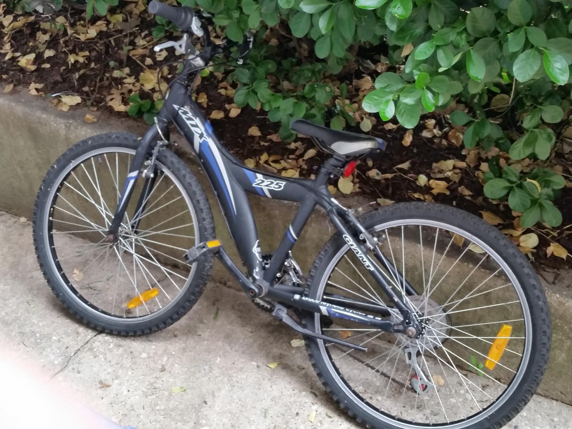 2009 MTX 225 Giant Mountain bike Blue