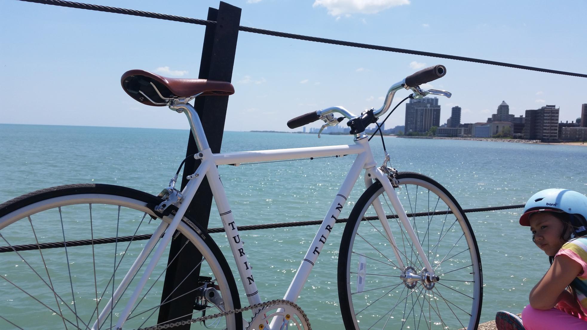 2013 Turin Rooster White