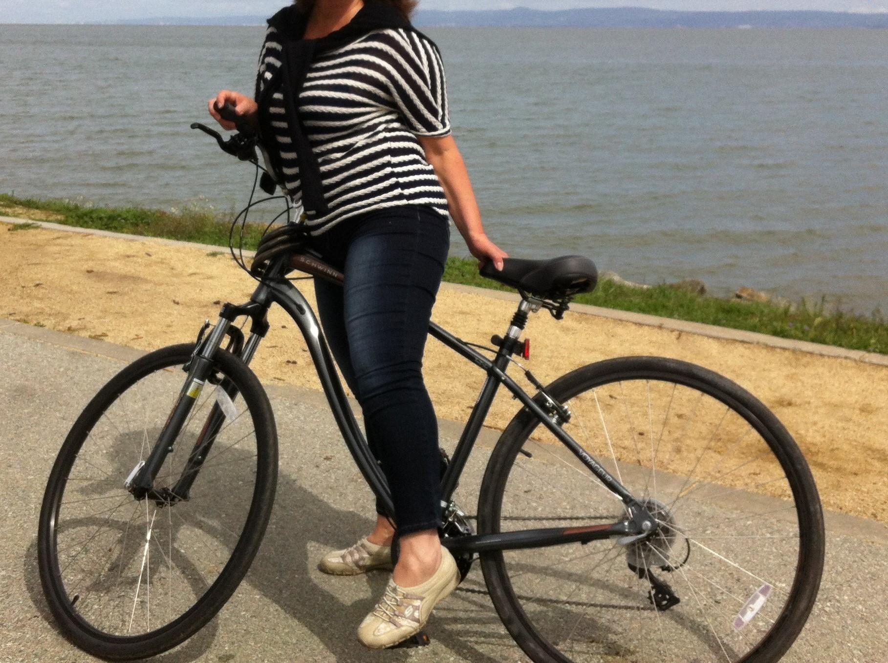 2012 Schwinn schwinn Silver or Gray