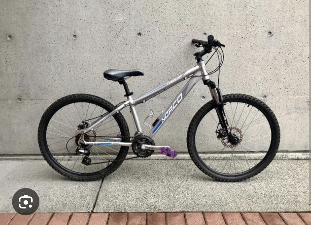 Norco Bikes Silver, gray or bare metal