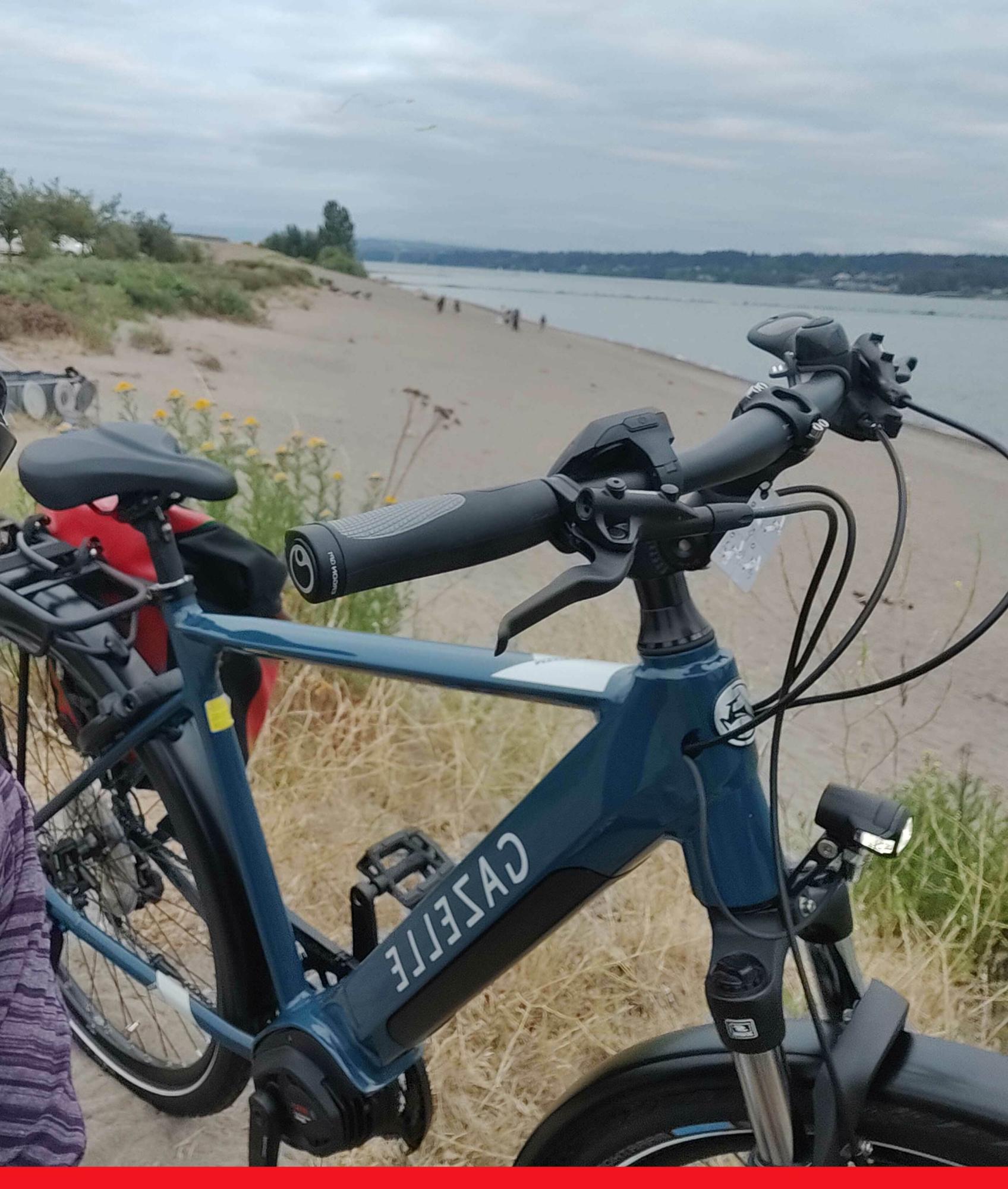 2021 Gazelle Medeo t10+ Large, Top Tube Blue