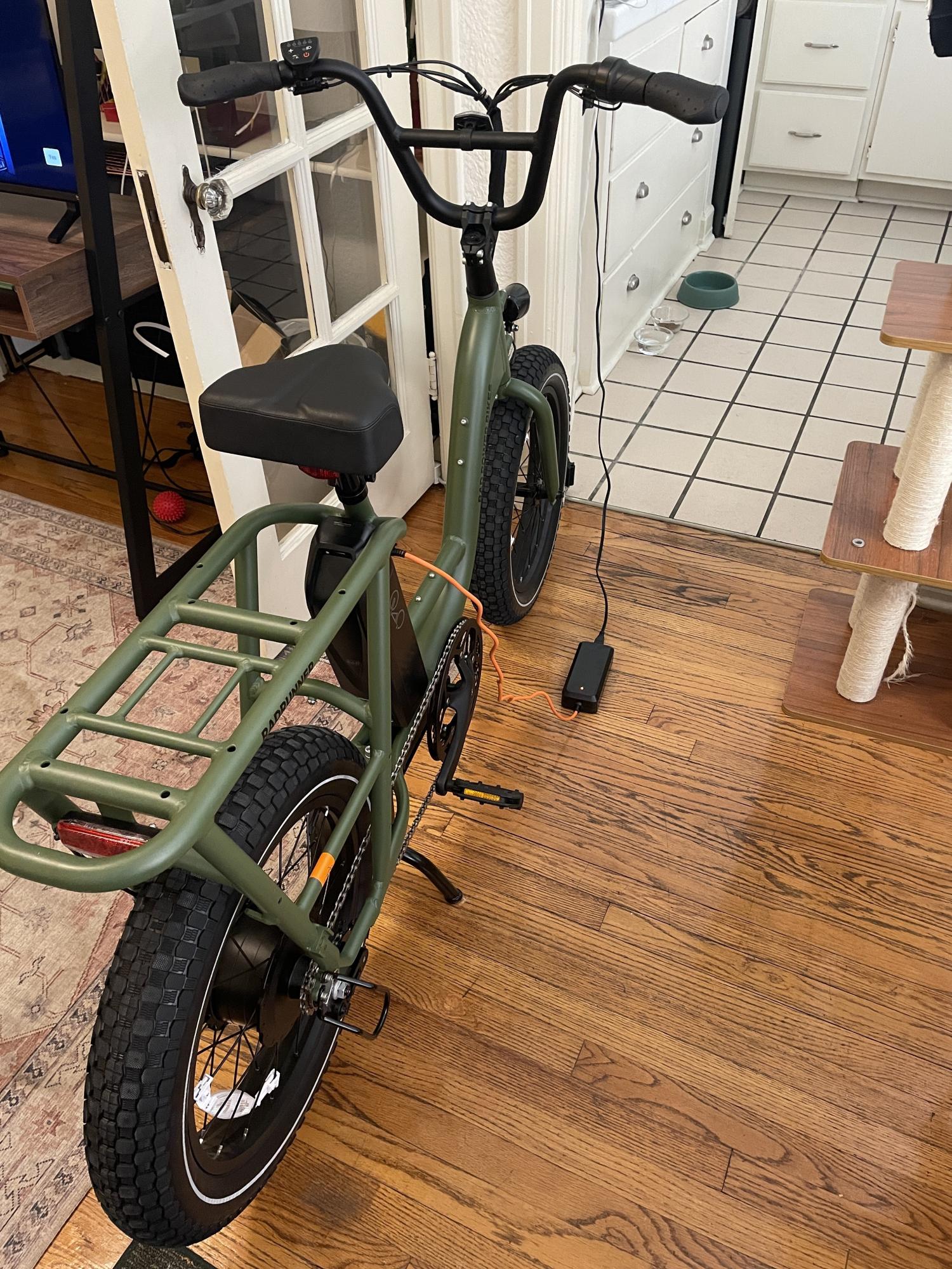 2022 Rad Power Bikes RadRunner2 Green