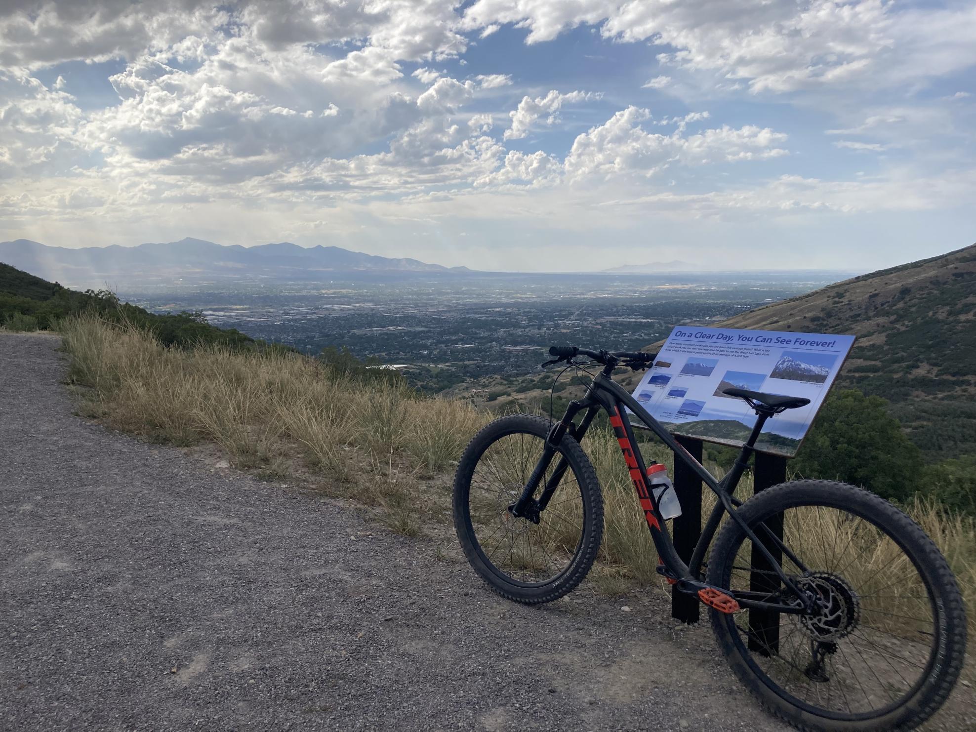 2022 Trek Roscoe 8 Black and Red