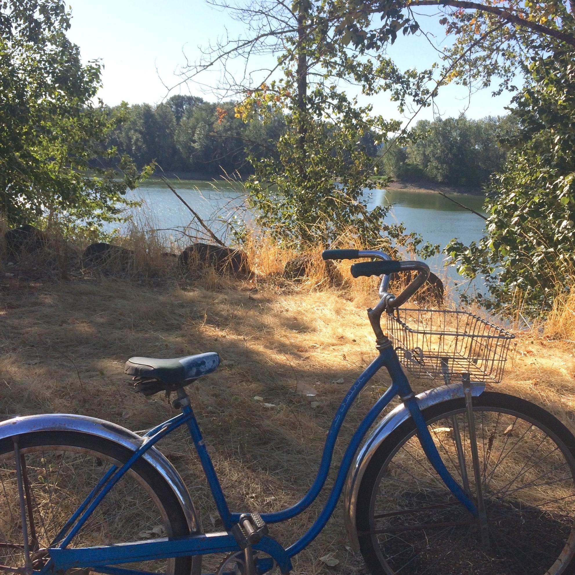 Schwinn Cruiser Blue