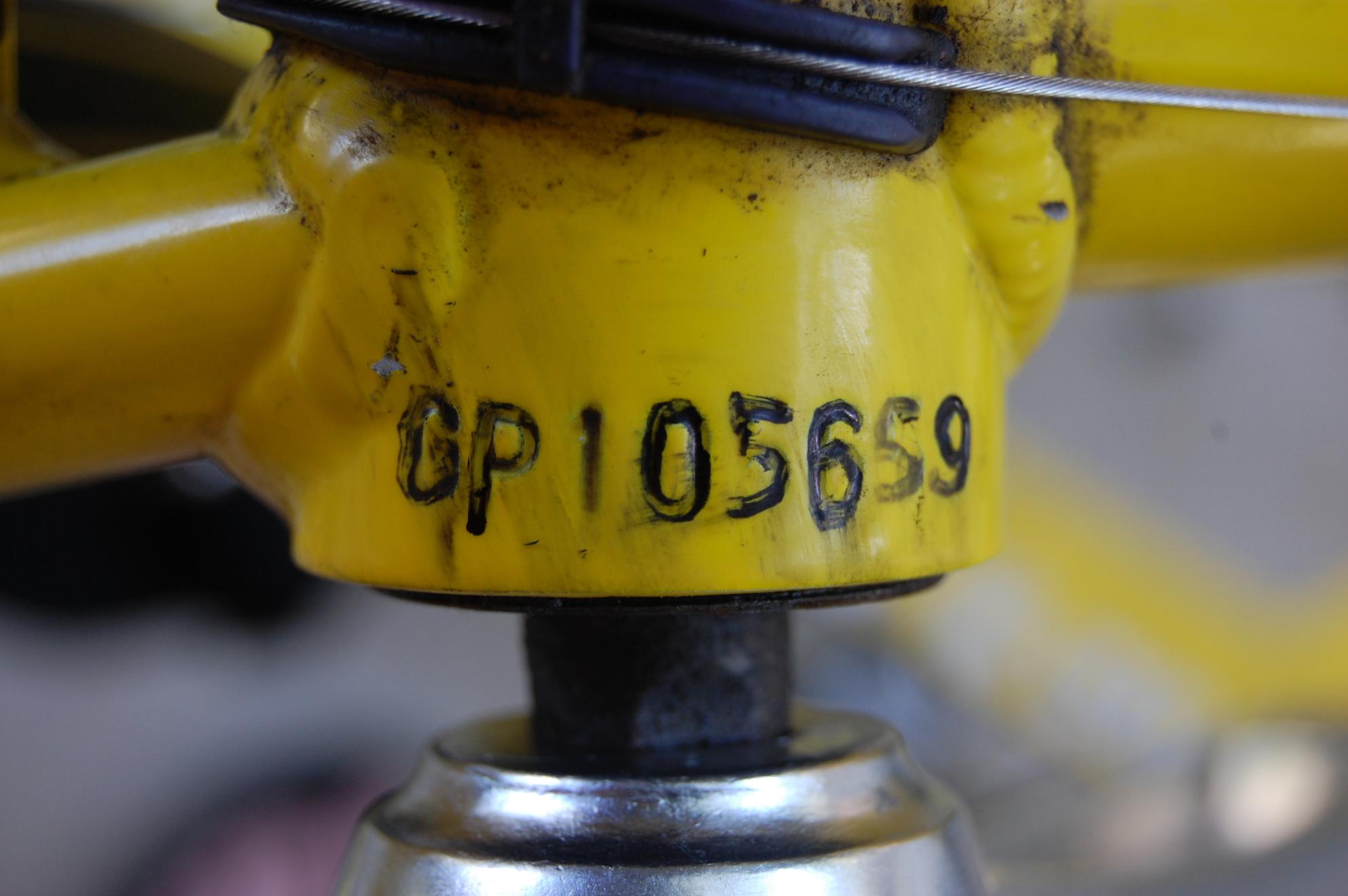 Giant OCR 3  Yellow or Gold