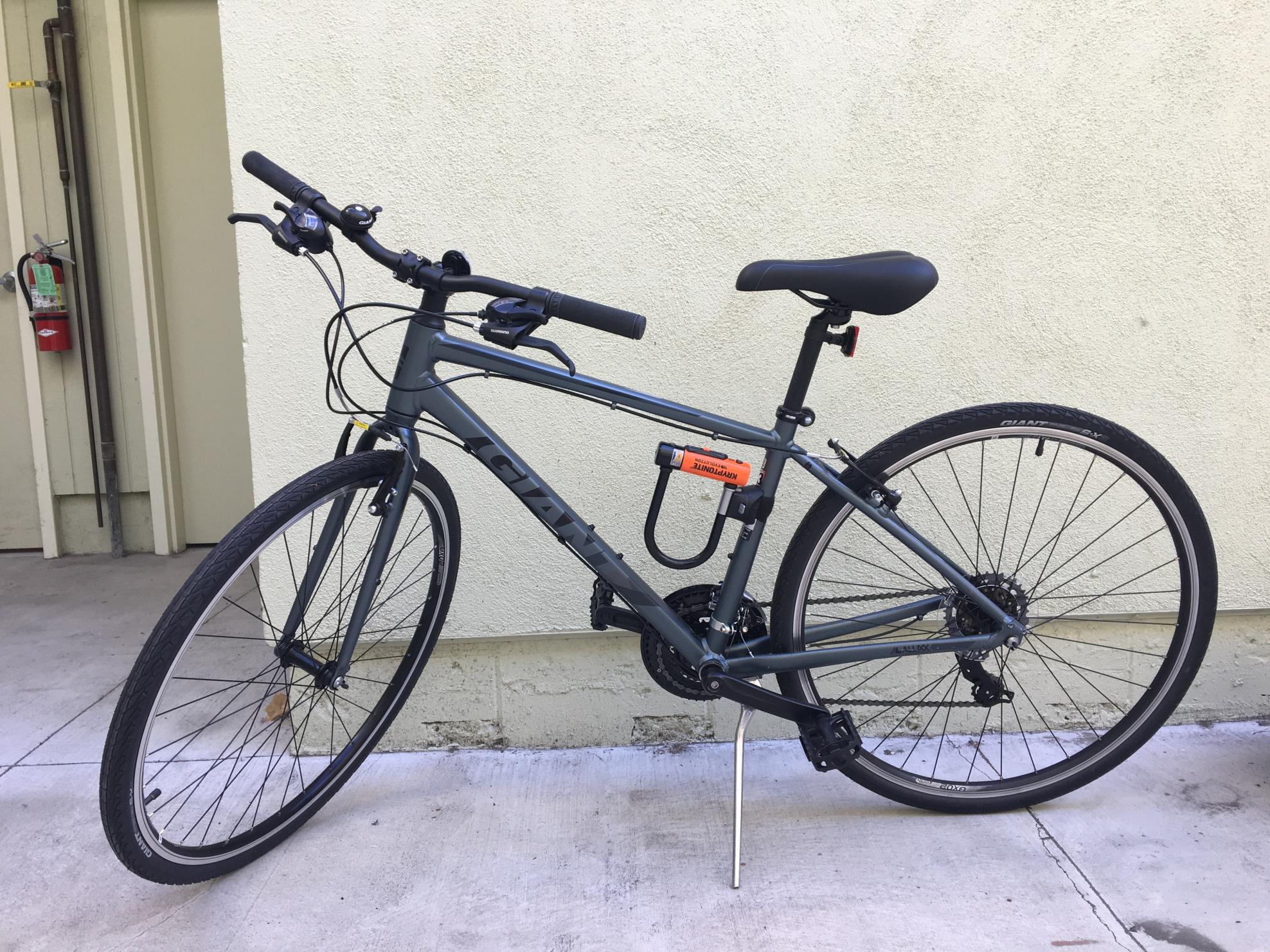 2019 Giant Escape Silver, gray or bare metal