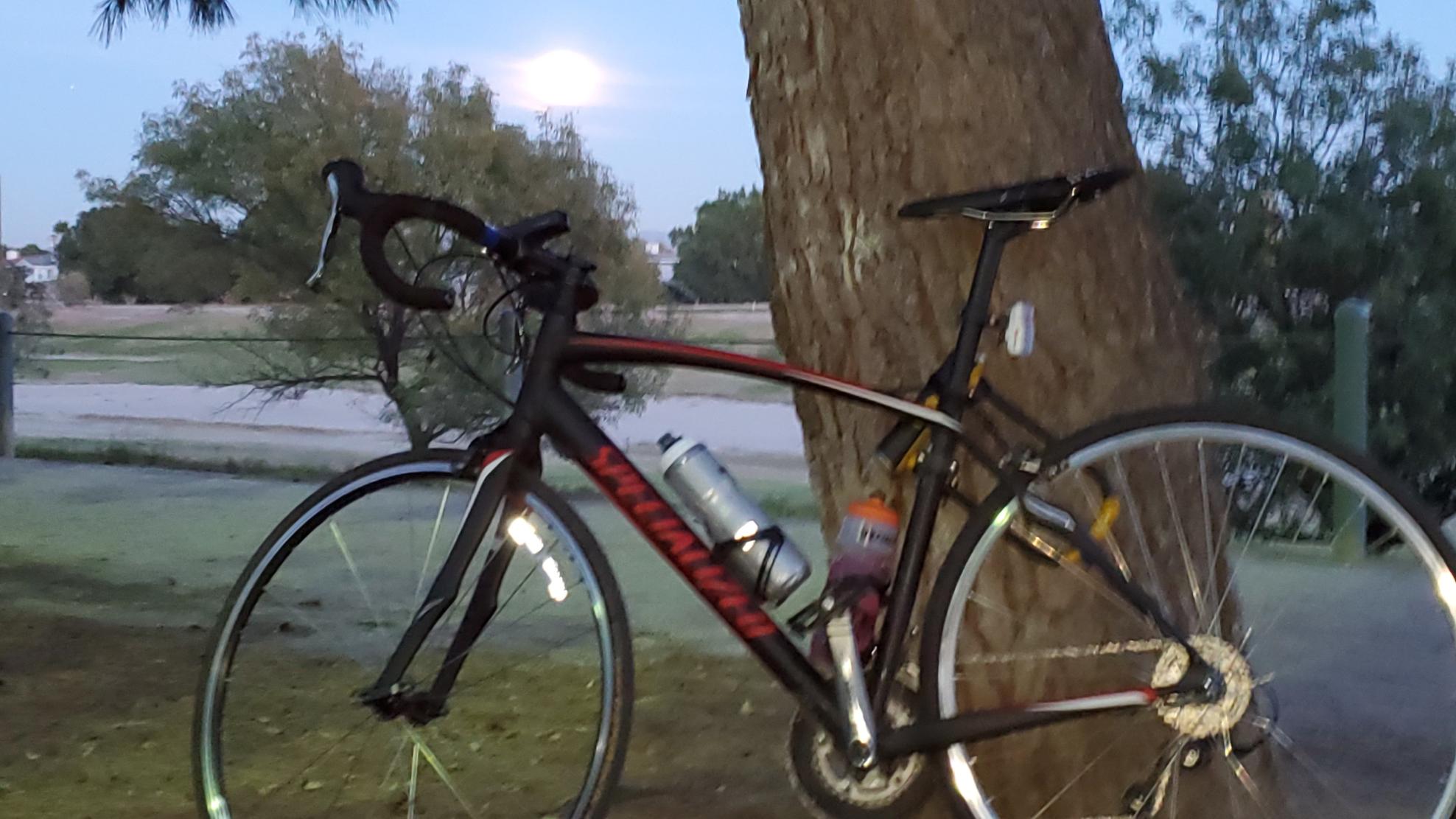 2015 Specialized Sector Elite Black