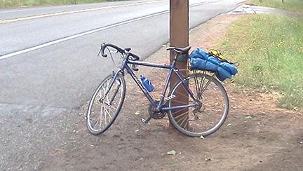 2007 Redline Conquest Sport  Blue