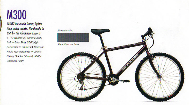 1995 Cannondale Silver or Gray